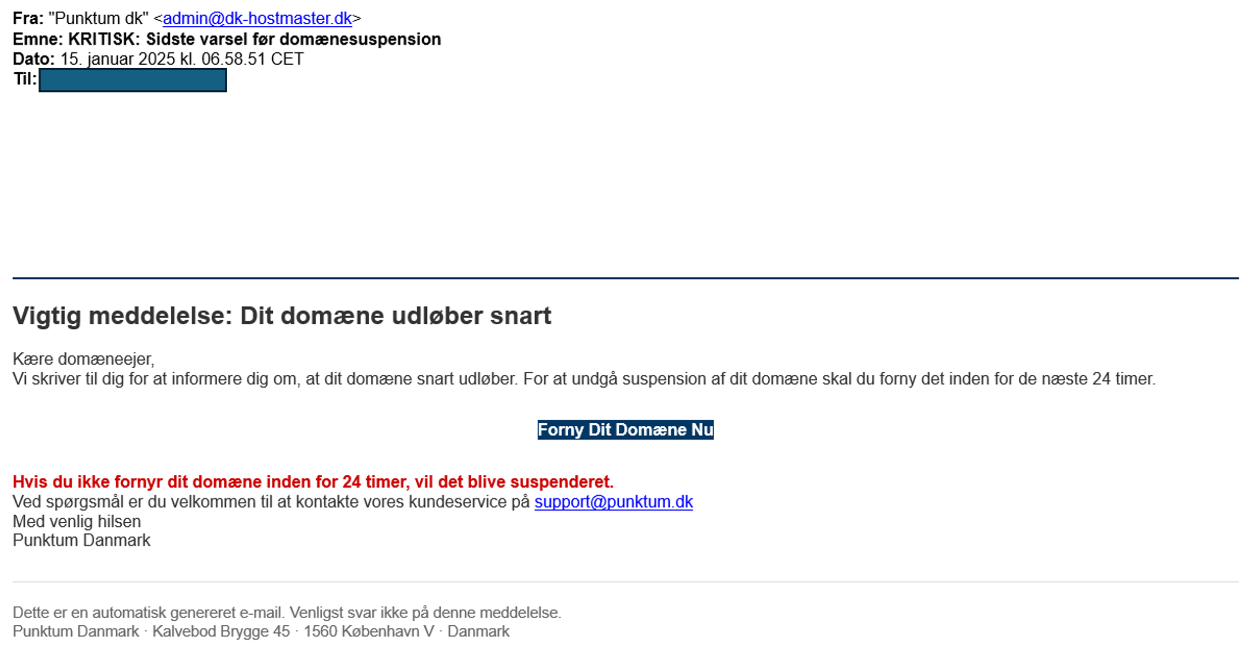 Example of fake email regarding domain suspension warning.